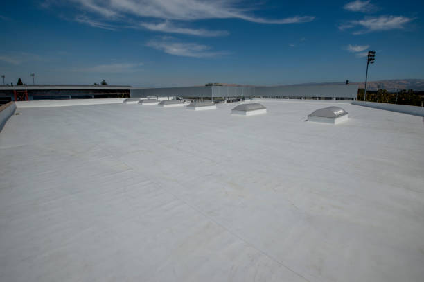 Best Gutter Installation and Repair  in Cleves, OH